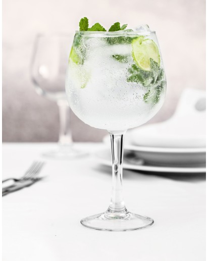 Taça Ibiza Gin